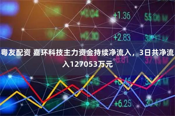 粤友配资 嘉环科技主力资金持续净流入，3日共净流入127053万元