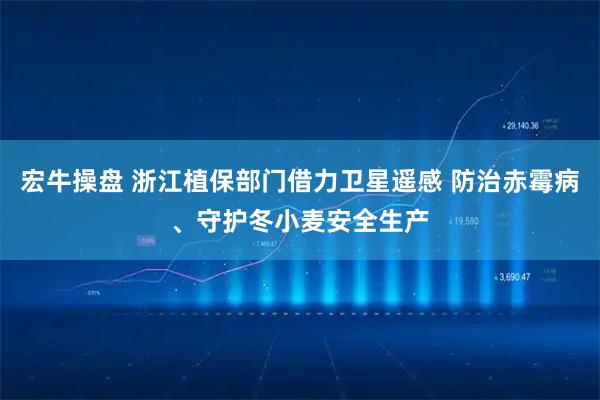 宏牛操盘 浙江植保部门借力卫星遥感 防治赤霉病、守护冬小麦安全生产